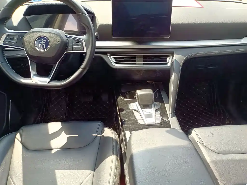 BYD Pro — миниатюра 6