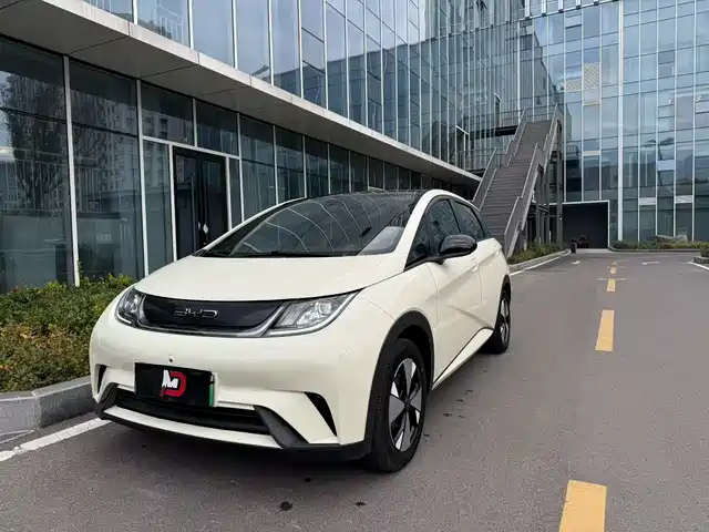 2023 BYD Dolphin