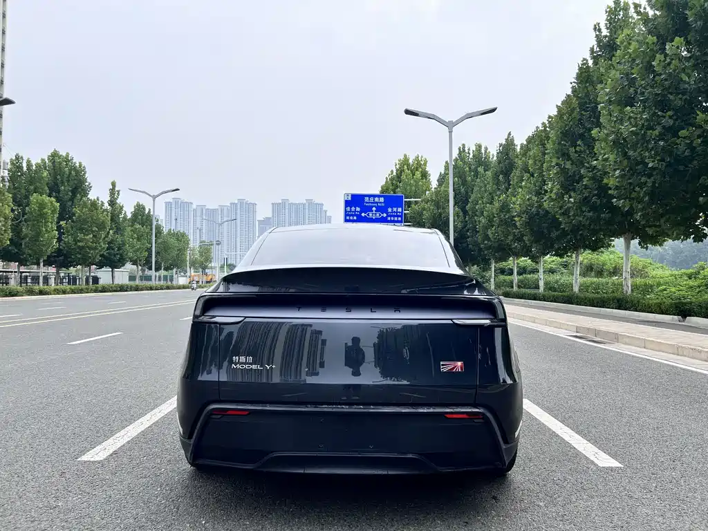 Tesla Model Y — миниатюра 11