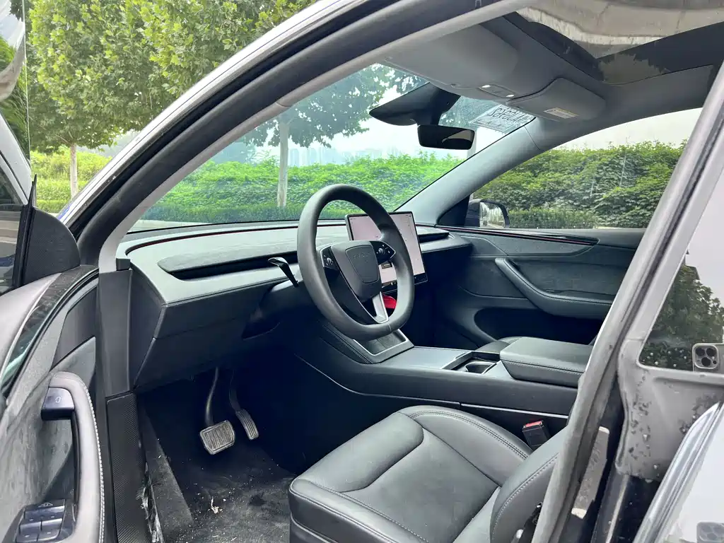 Tesla Model Y — миниатюра 4