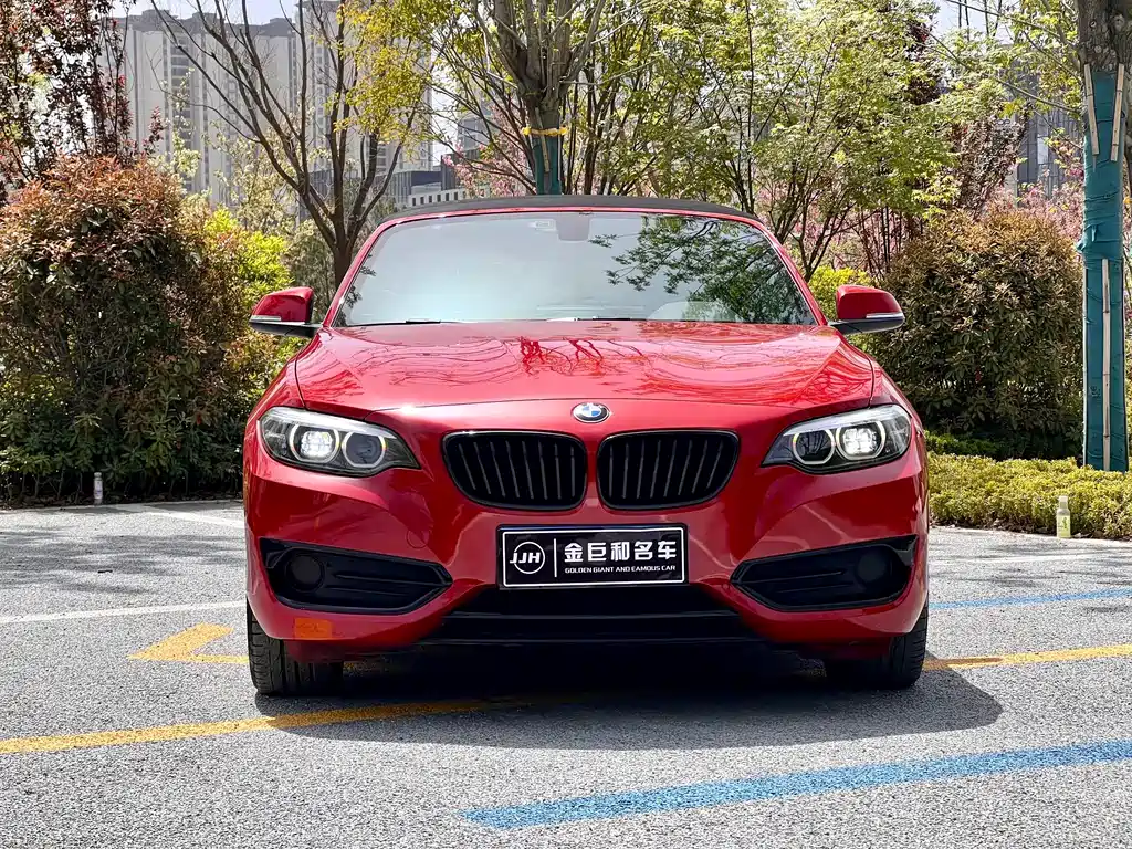 BMW 2 SERIES