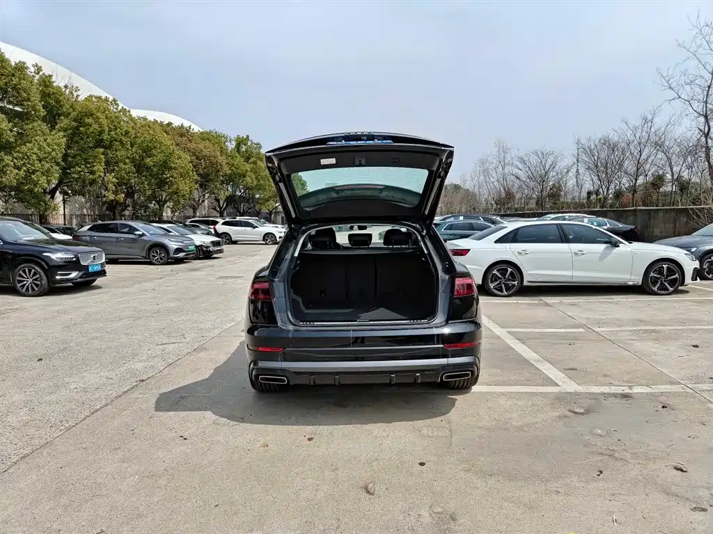 Audi Q8 2024 55 TFSI Luxury