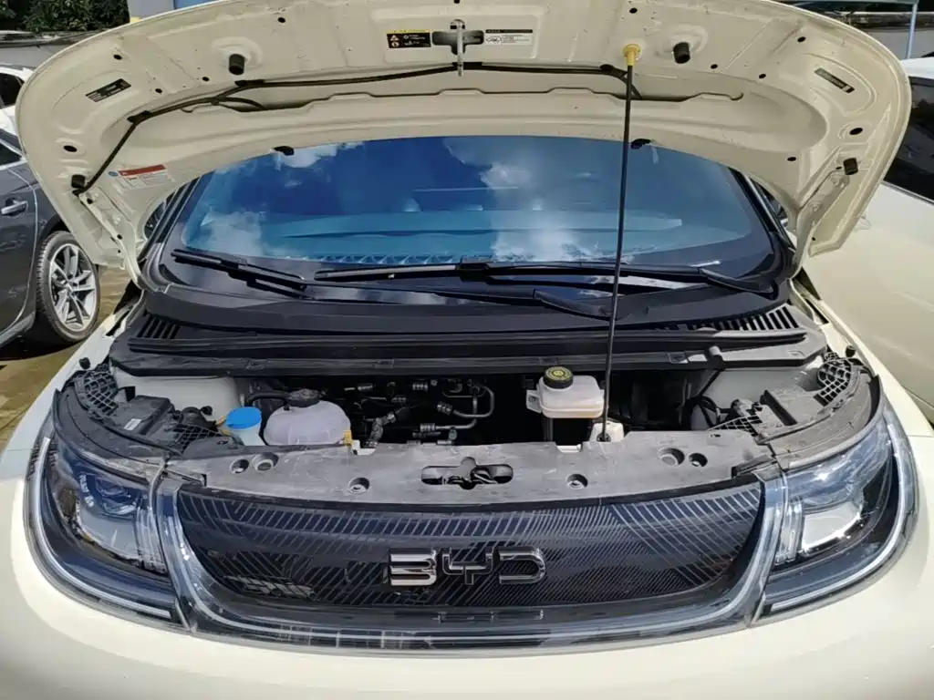 BYD Dolphin — миниатюра 20