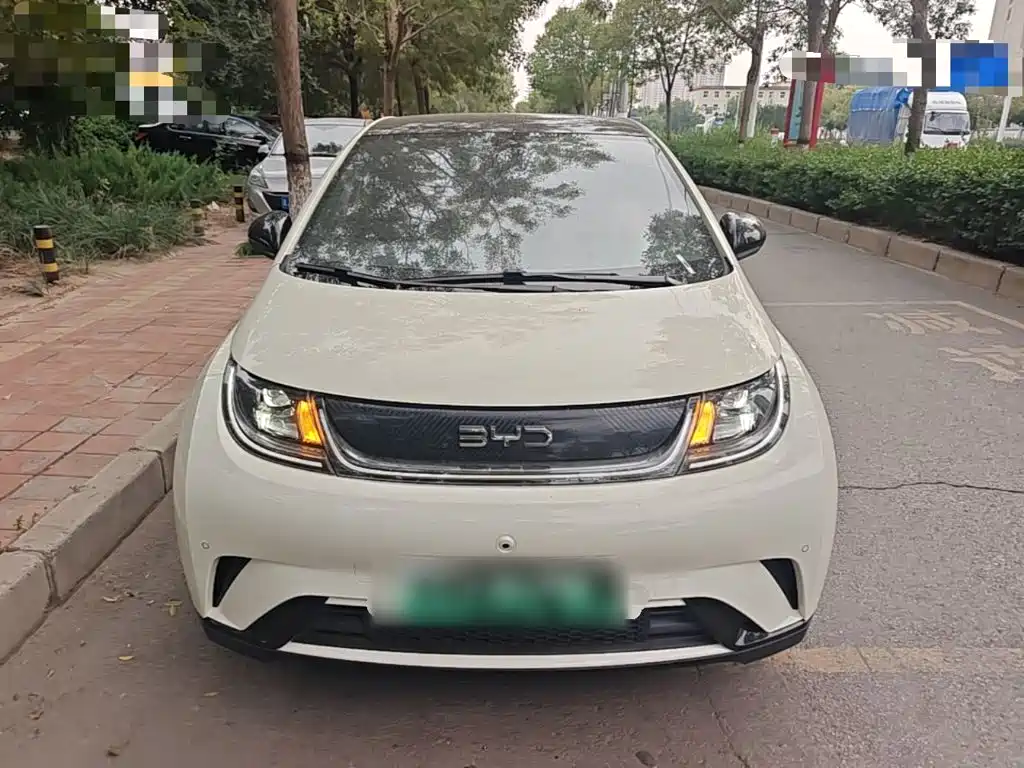 BYD Dolphin — миниатюра 3