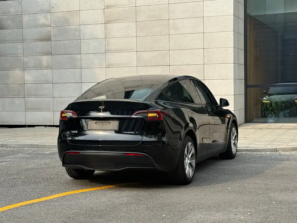Tesla Model Y — миниатюра 19