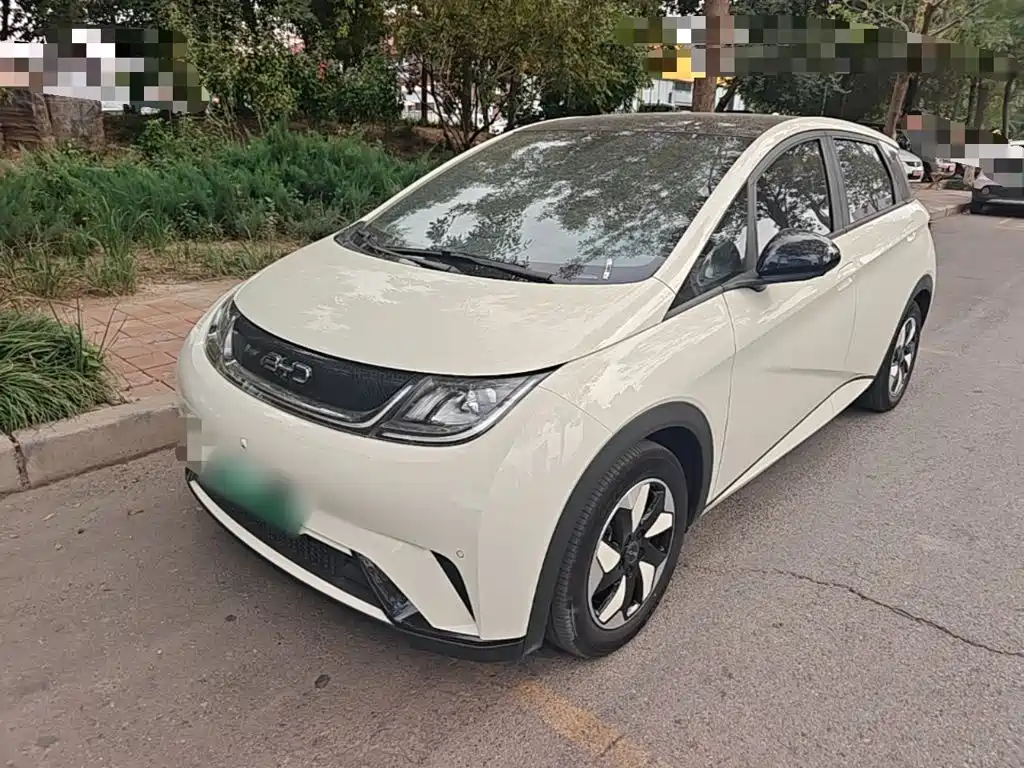 BYD Dolphin — миниатюра 2