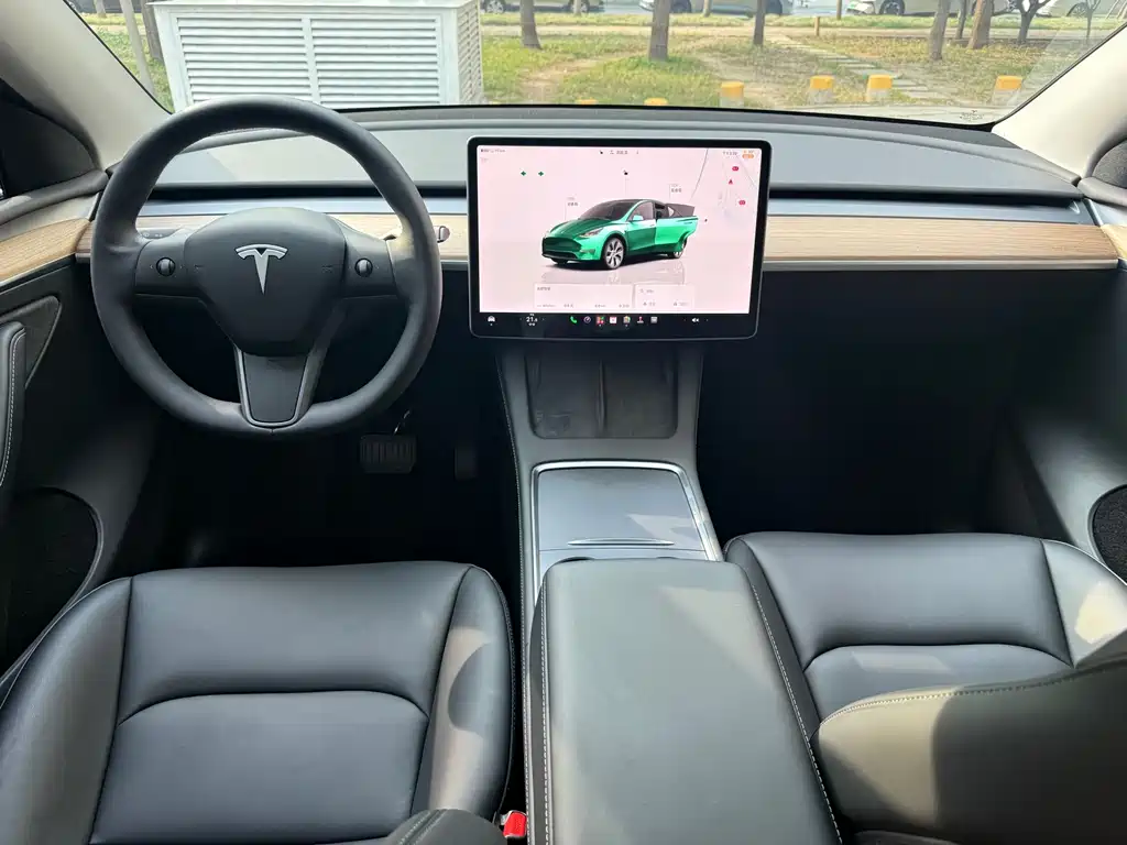 Tesla Model Y — миниатюра 10