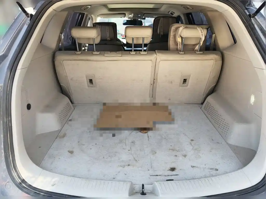 Wuling Xingchen — миниатюра 15