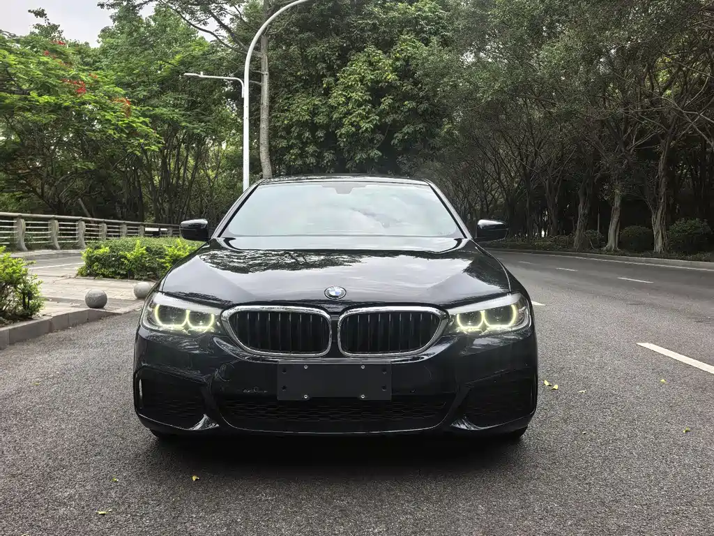 BMW 5 Series 5 2020 525Li M Sport