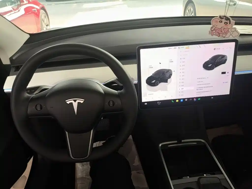 Tesla Model Y — миниатюра 10