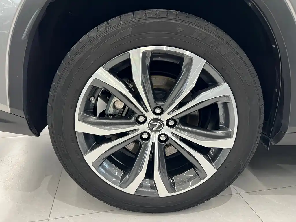 Lexus RX 2020 450h Elegant VI