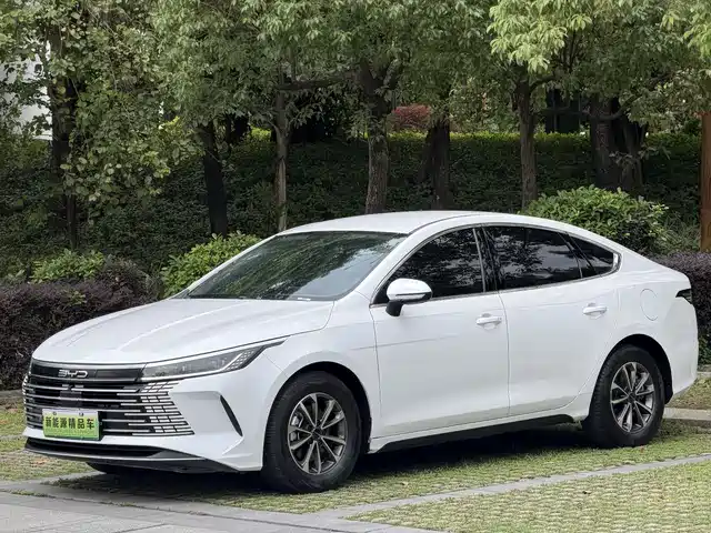 2024 BYD Destroyer