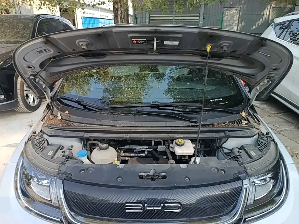 BYD Dolphin — миниатюра 20