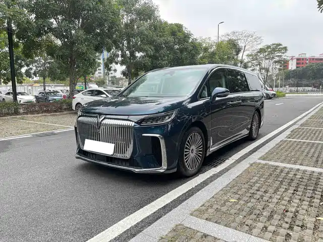 2025 Voyah Dream