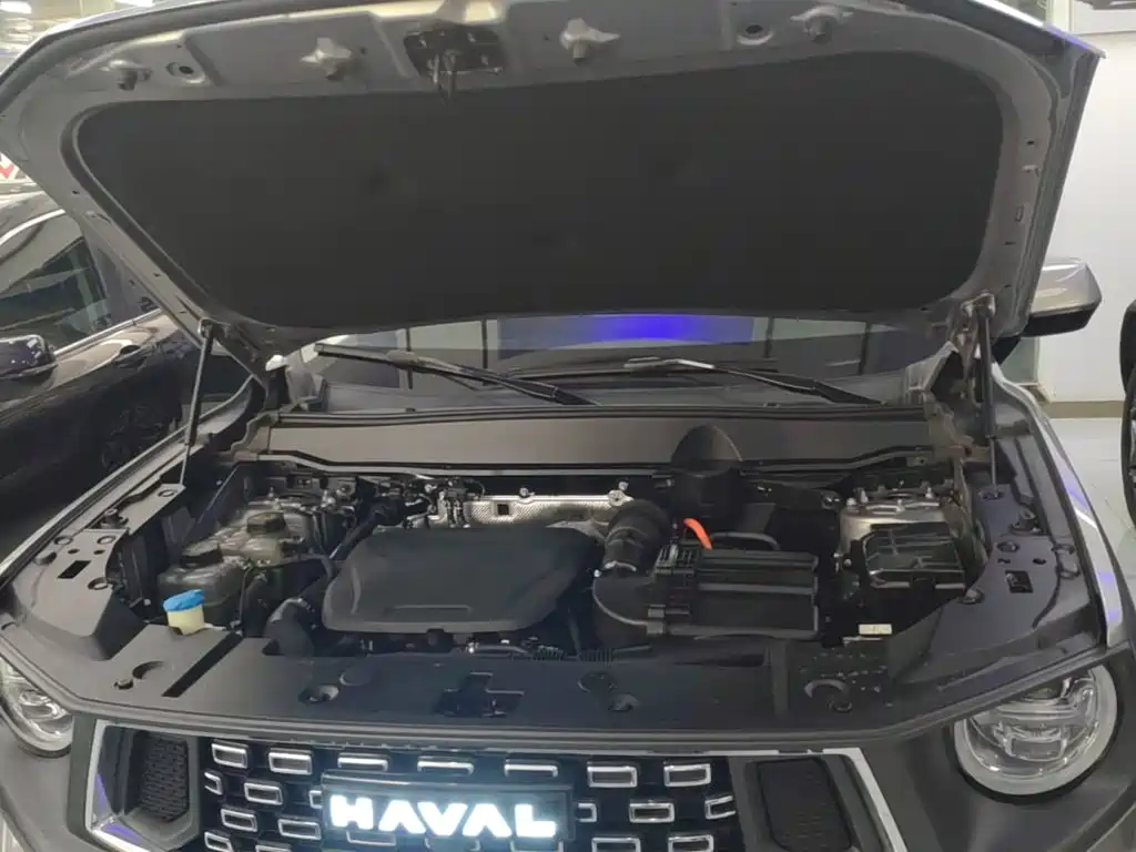Haval Big Dog PLUS New Energy — миниатюра 20