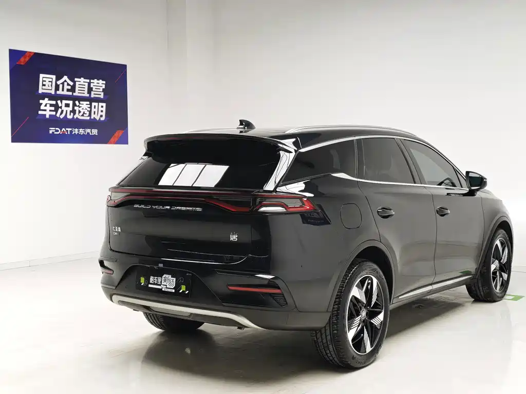 BYD Tang New Energy — миниатюра 4