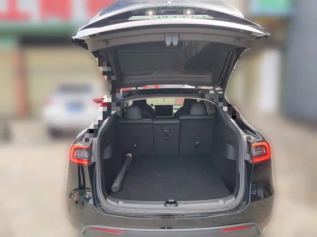 Tesla Model Y — миниатюра 20