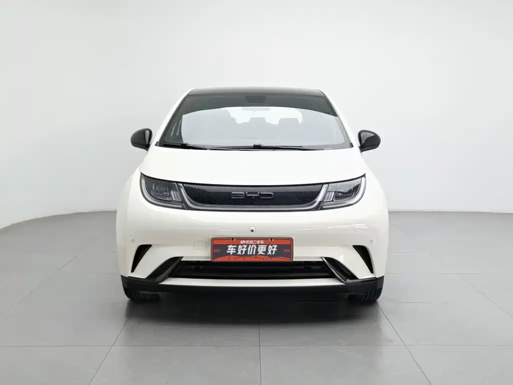 BYD Dolphin — миниатюра 3