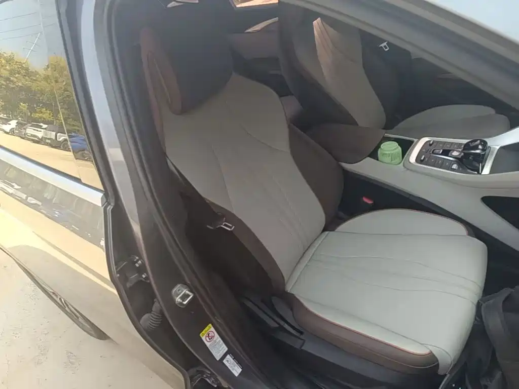 BYD Pro New Energy — миниатюра 25