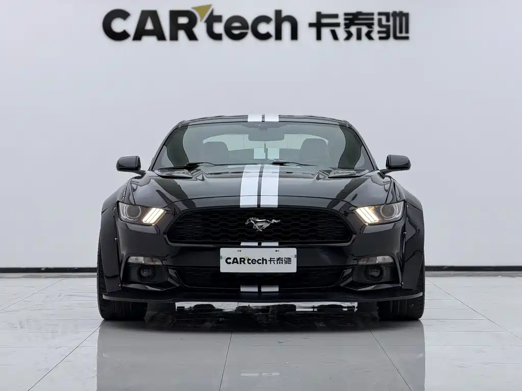 Ford Mustang — миниатюра 2