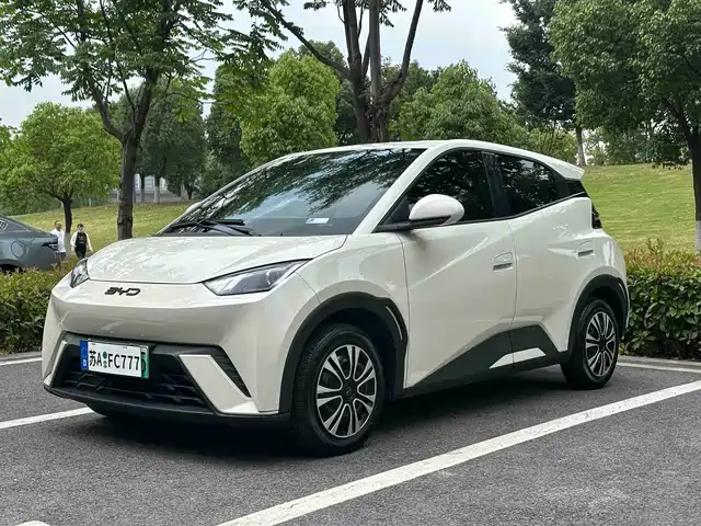 2024 BYD Seagull