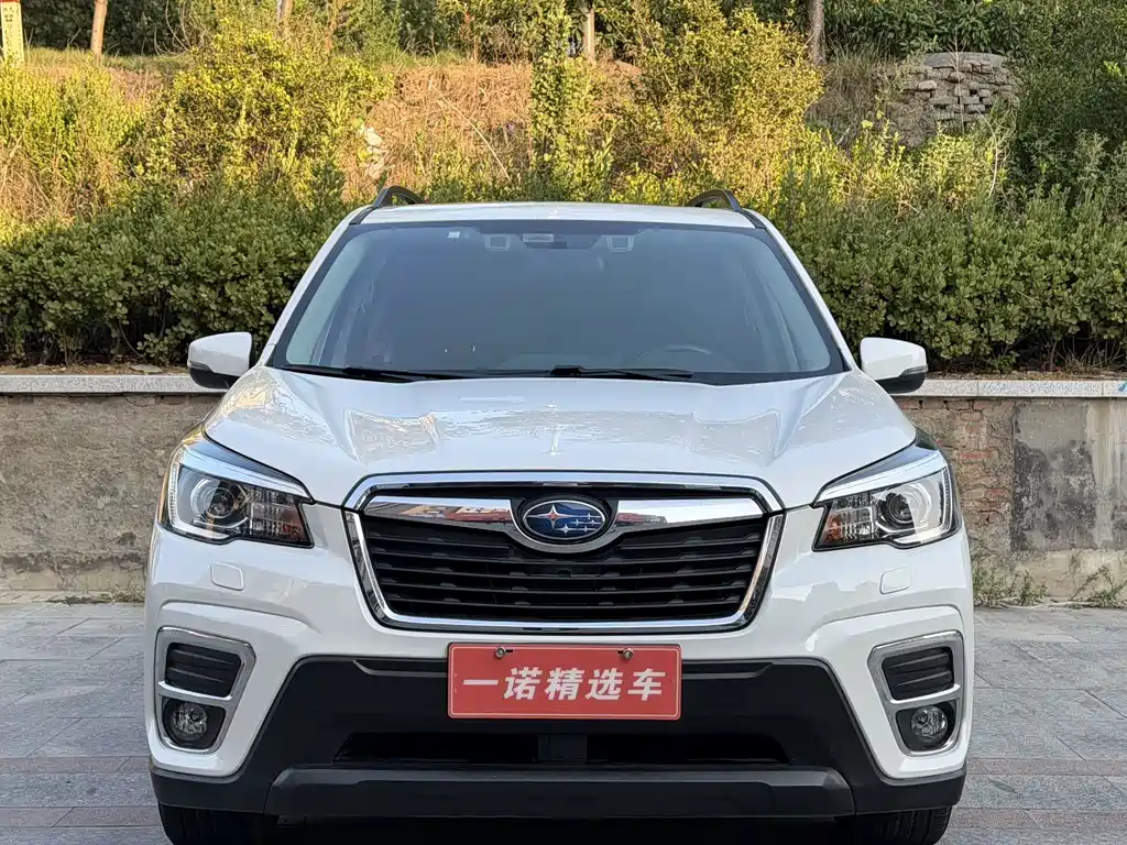 Subaru Forester — миниатюра 2