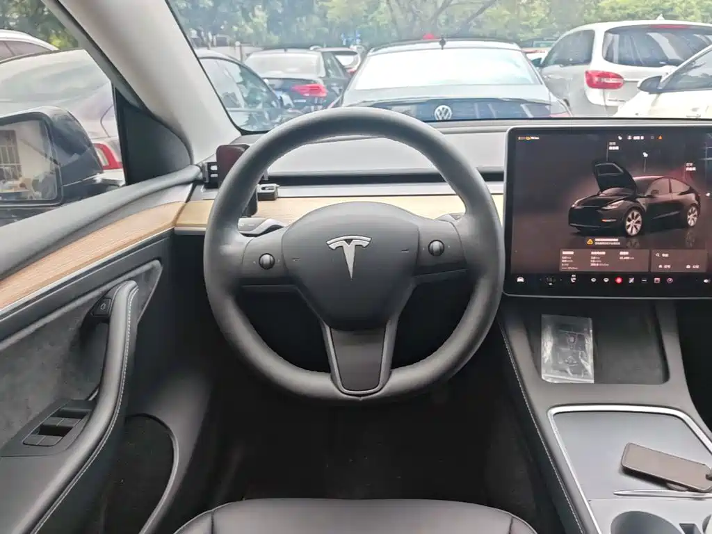 Tesla Model Y — миниатюра 11