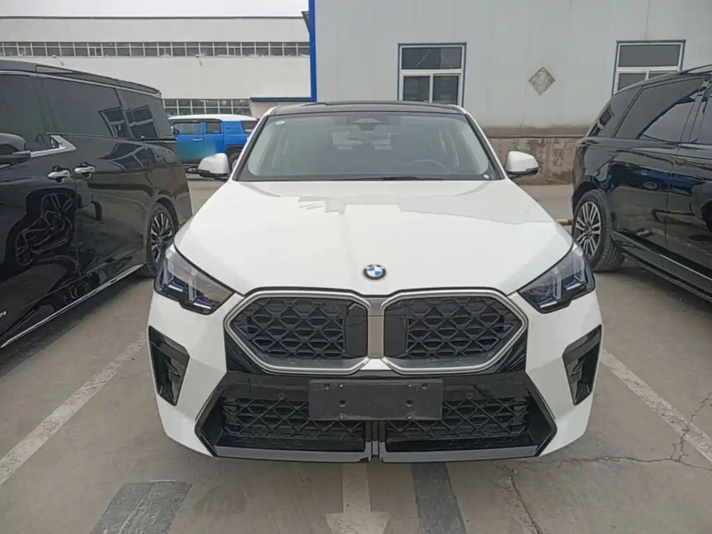 BMW X2 (Import) — миниатюра 3