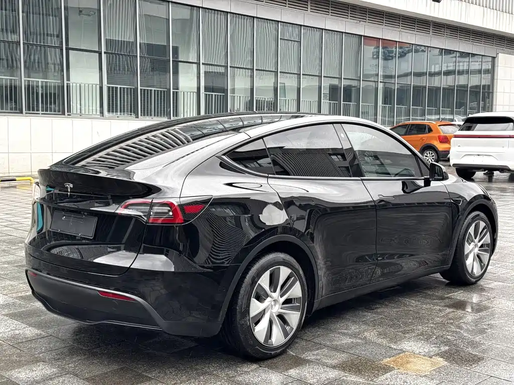 Tesla Model Y — миниатюра 9