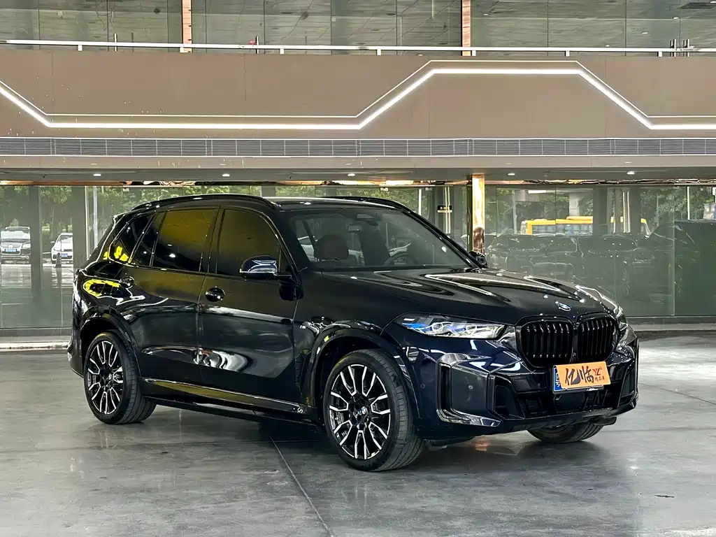 BMW X5 — миниатюра 3