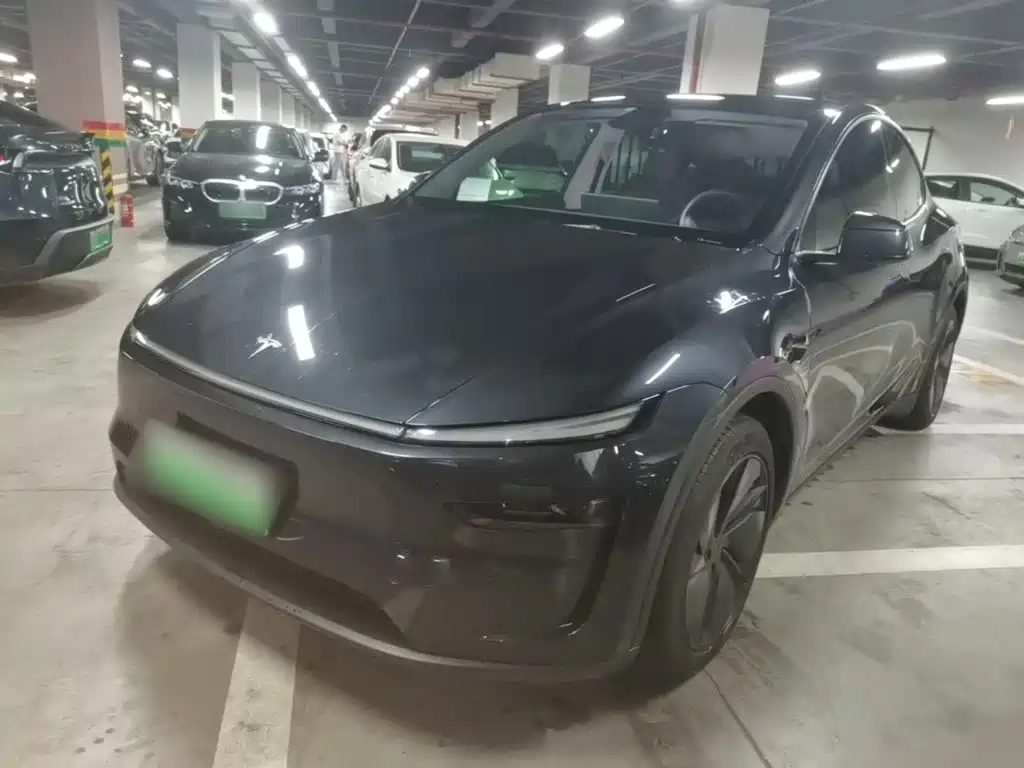 Tesla Model Y — миниатюра 2