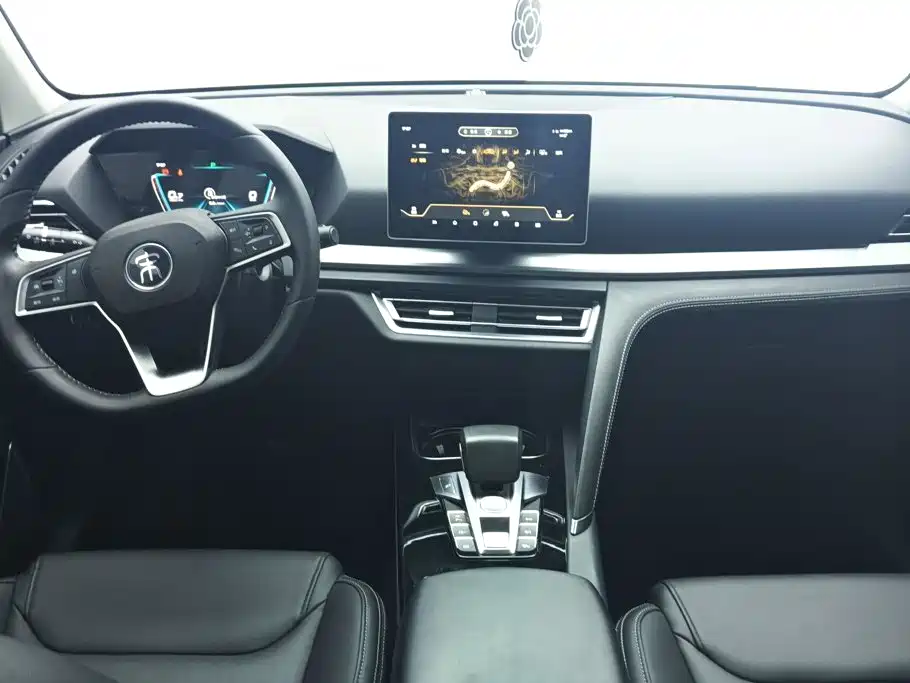 BYD Pro — миниатюра 12