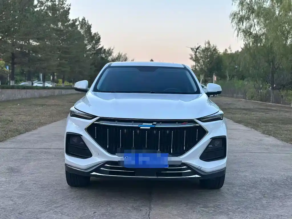 Oshan Oushang X5 — миниатюра 2