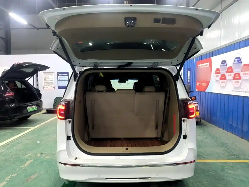 Buick GL8 — миниатюра 19