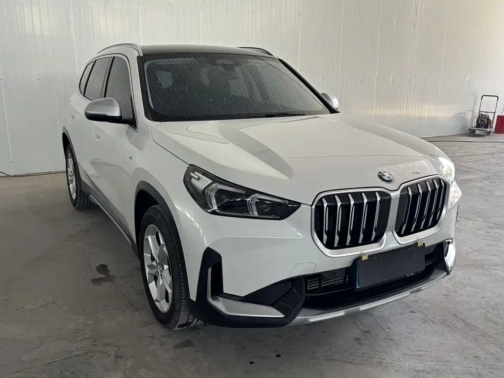 BMW X1 — миниатюра 2