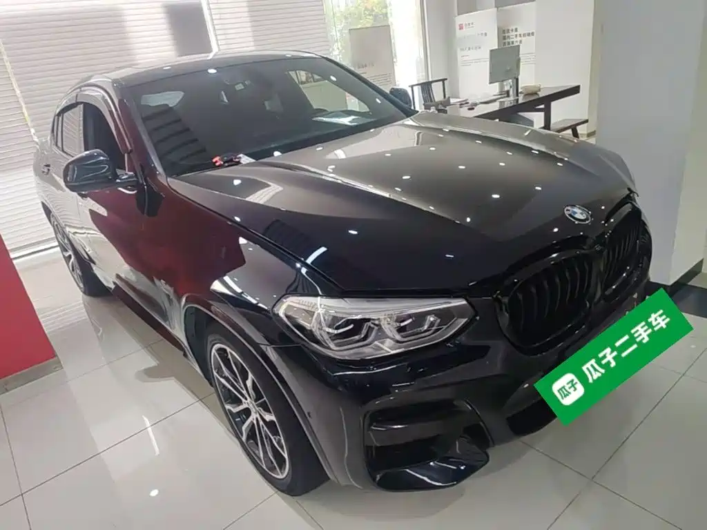 BMW X4 — миниатюра 4
