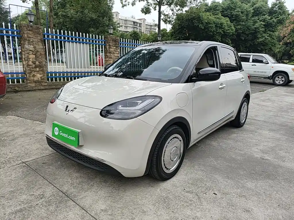 Wuling Binguo 2023 333km Enjoy +