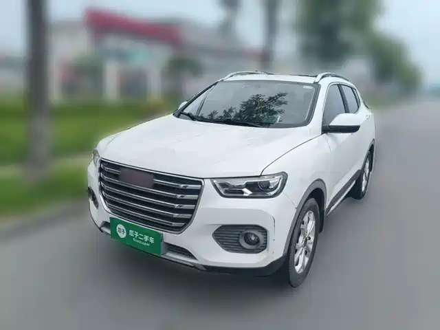 2017 Haval H2
