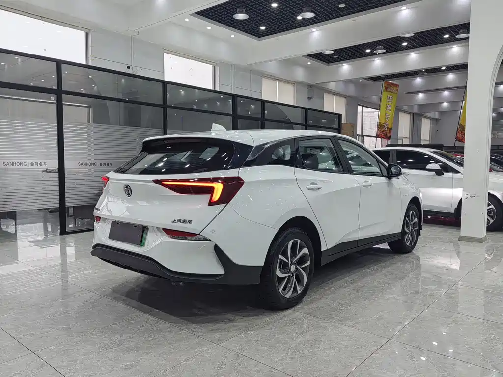 BUICK SLIGHTLY BLUE 6