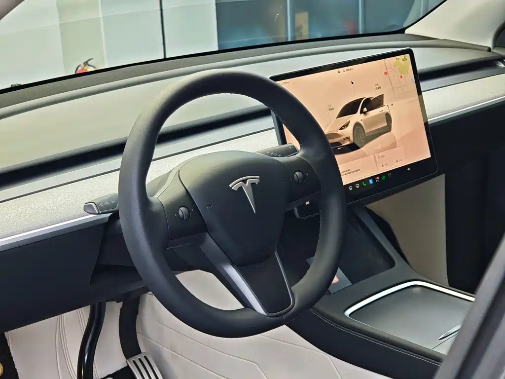 Tesla Model Y — миниатюра 6