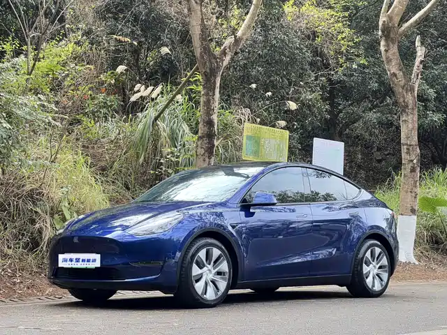 TESLA MODEL Y 2021