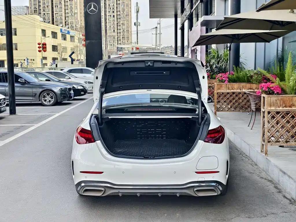 MERCEDES-BENZ C CLASS NEW ENERGY