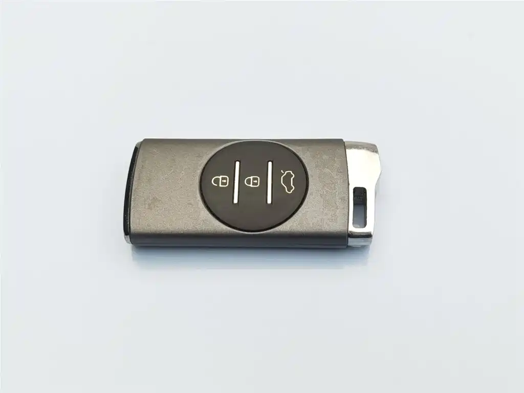 EXEED STAR WAY CHASING THE WIND C DM