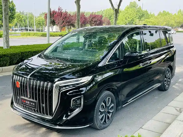 2023 Hongqi HQ9