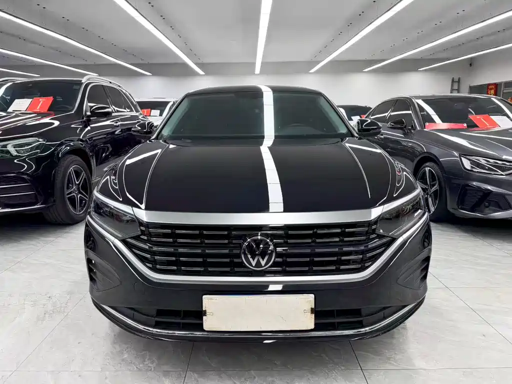 Volkswagen Passat — миниатюра 2