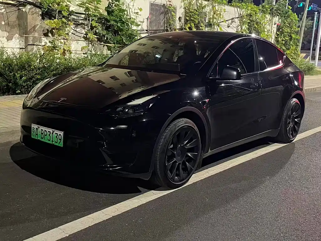 Tesla Model Y — миниатюра 3