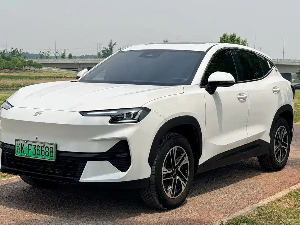 Shanhai Shanhai L6 2024