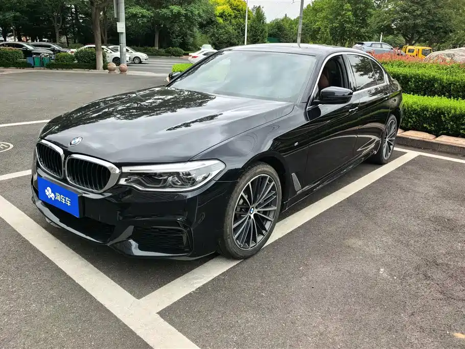 BMW 5 Series 5 2020 530Li Executive Luxury