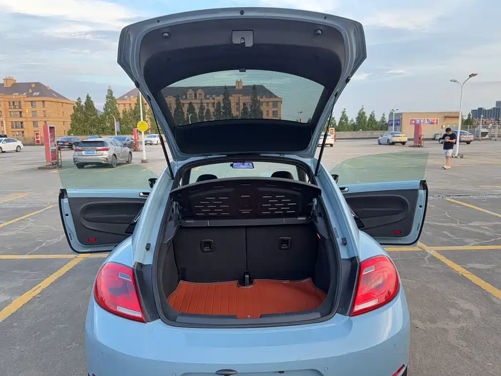 Volkswagen Beetle — миниатюра 13