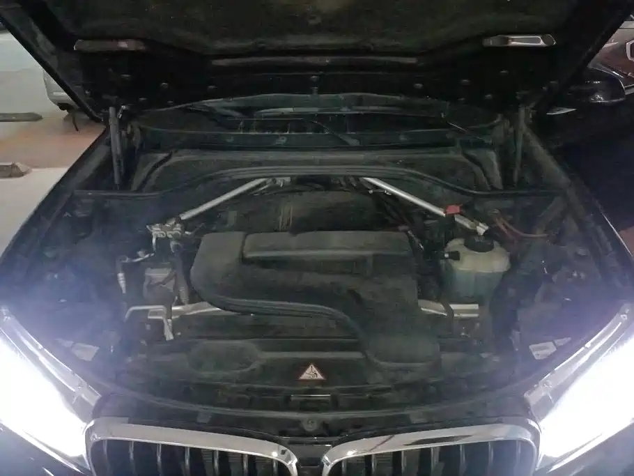 BMW X5 (Import) — миниатюра 10